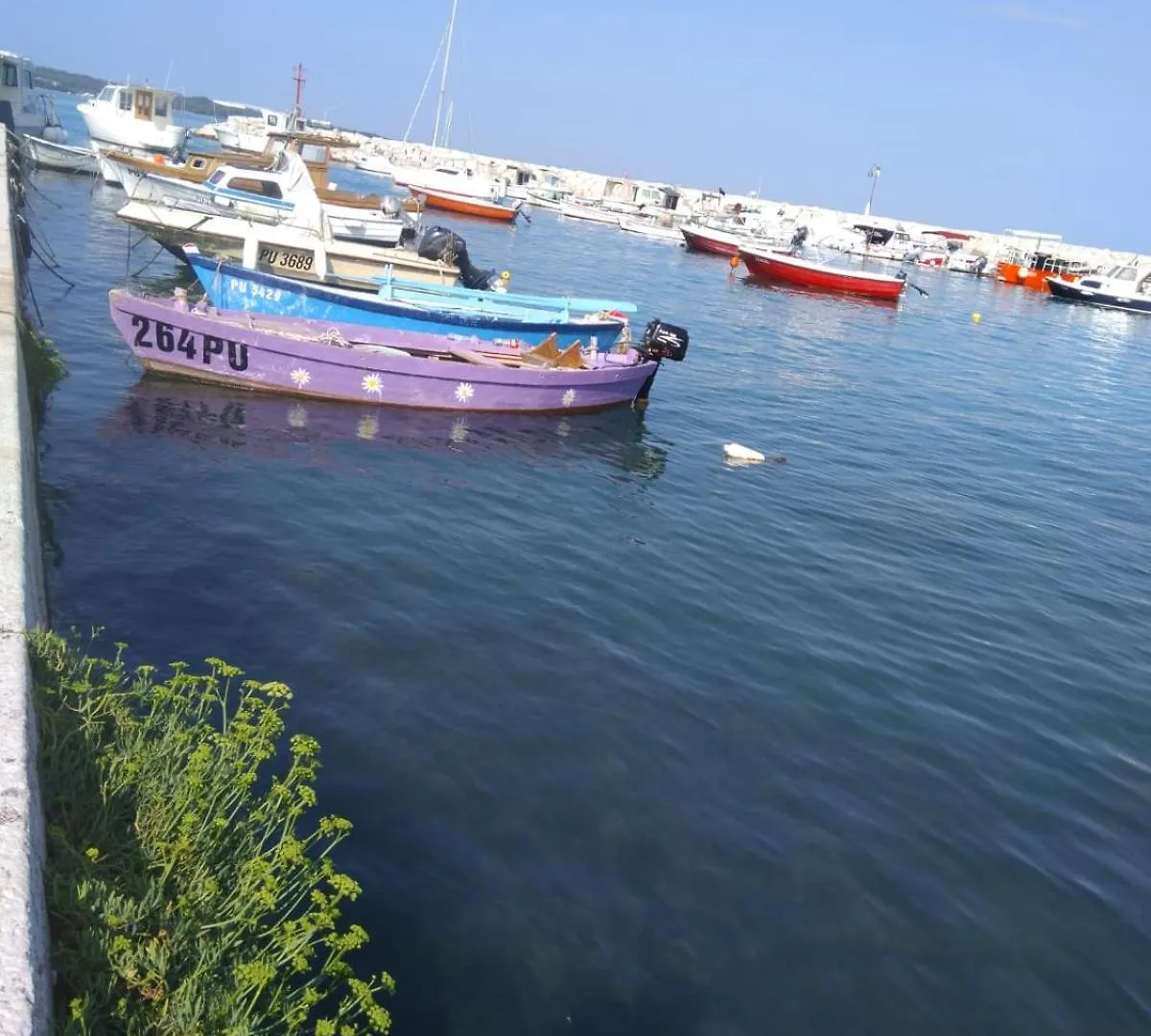 Hotel Villa Vera 2 Fazana Croatia